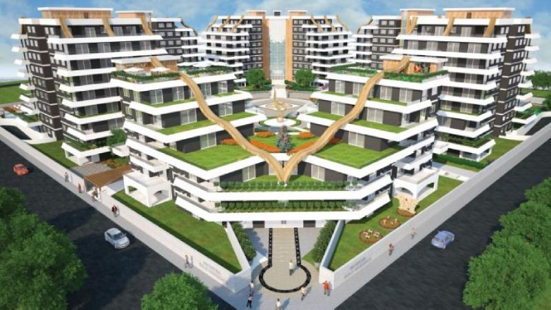 Magnesia Gold - Aydın